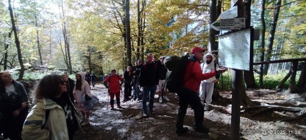 blog images