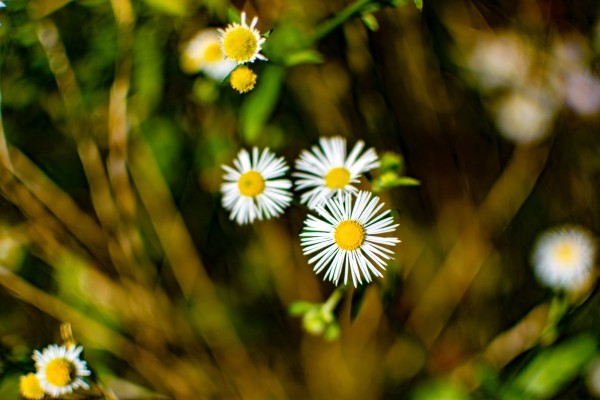 blog images